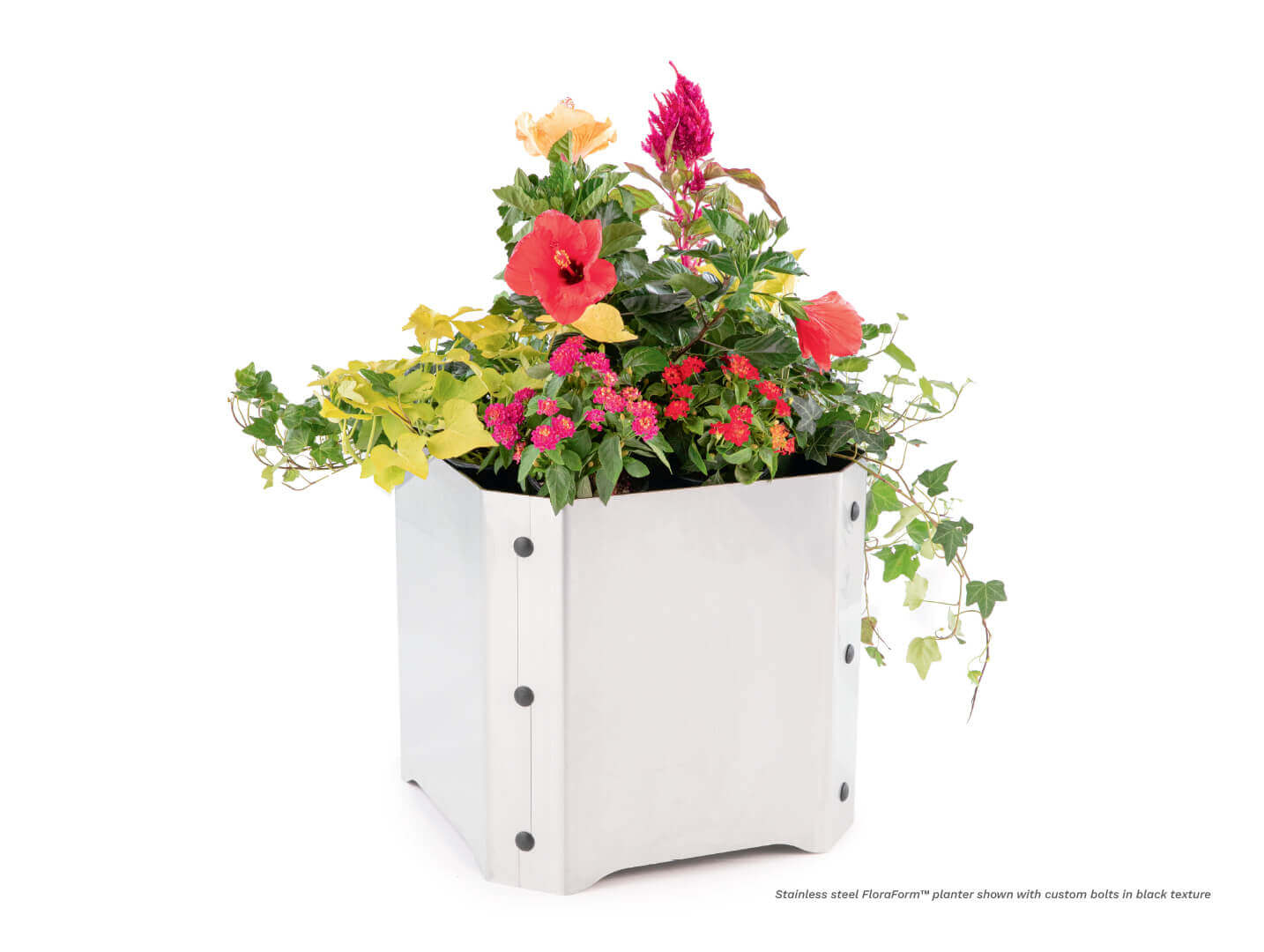 stainless steel FloraForm planter with custom bolts in black texture