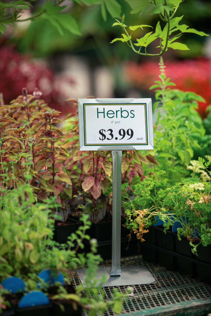 Standard Sign with $3.99 price tag for herbs