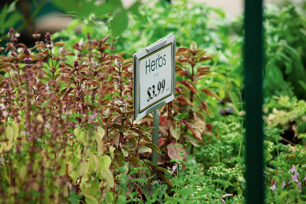 Standard Sign with $3.99 price tag for herbs